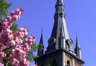 Cathédrale Saint-Paul - Liège - cerisier Japonais - Ciel bleu
